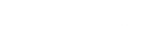 Playeasy x Ann Arbor Summit Logo White
