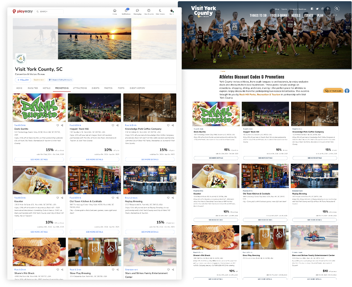 York County Promotions — Website Element